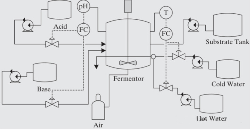 200l bioreactor