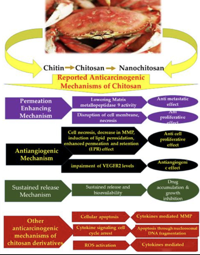biological fermentation