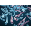 The "super strain" code in the field of medical beauty and health, microbial synthesis leads the trend!