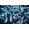 The "super strain" code in the field of medical beauty and health, microbial synthesis leads the trend!