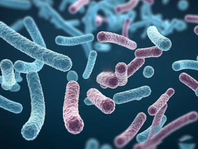 The "super strain" code in the field of medical beauty and health, microbial synthesis leads the trend!