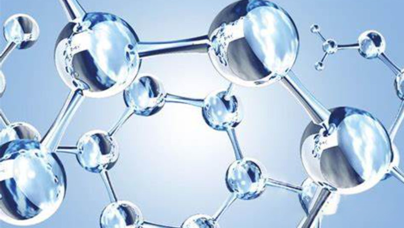 thermo fisher cell culture numbers
