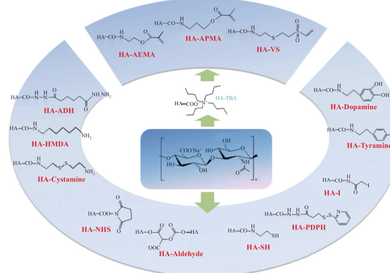 New favorite of medical aesthetics: hyaluronic acid refined through biological reactions, why does it 