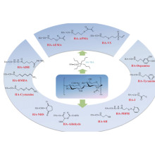 New favorite of medical aesthetics: hyaluronic acid refined through biological reactions, why does it 