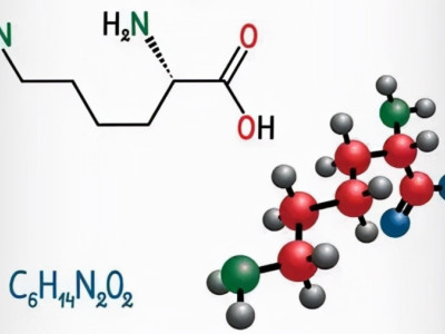 How can fermentation be considered accurate? We need to grasp from these four levels