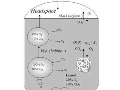 Solid state fermentation is so old, yet so new