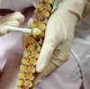 Introduction to the Biological Synthesis Method of 