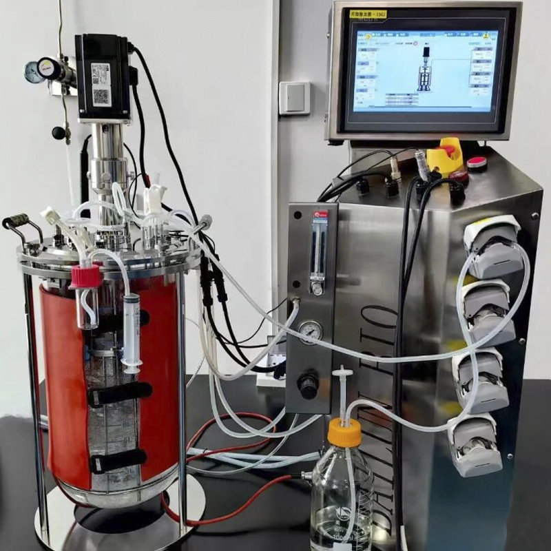 Bioreactor Fermentor