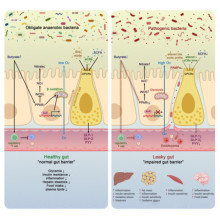 The three core cornerstones of biomanufacturing