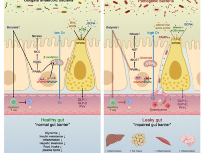 The three core cornerstones of biomanufacturing
