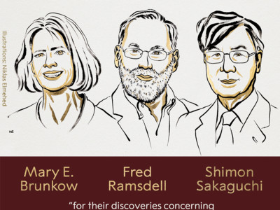 Popular understanding of the 2025 Nobel Prize in Medicine! The strength of the immune system lies not only in its ability to attack, but also in its ability to restrain itself!