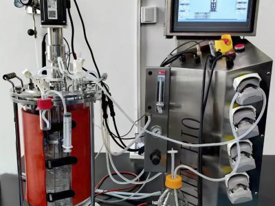 AI+automation - the future path of bioreactors: from precision fermentation to smart pharmaceuticals