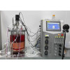4 indicators to achieve fermentation accuracy! Testing bacterial cells, controlling dissolved oxygen, determining endpoint... all the dry goods are here