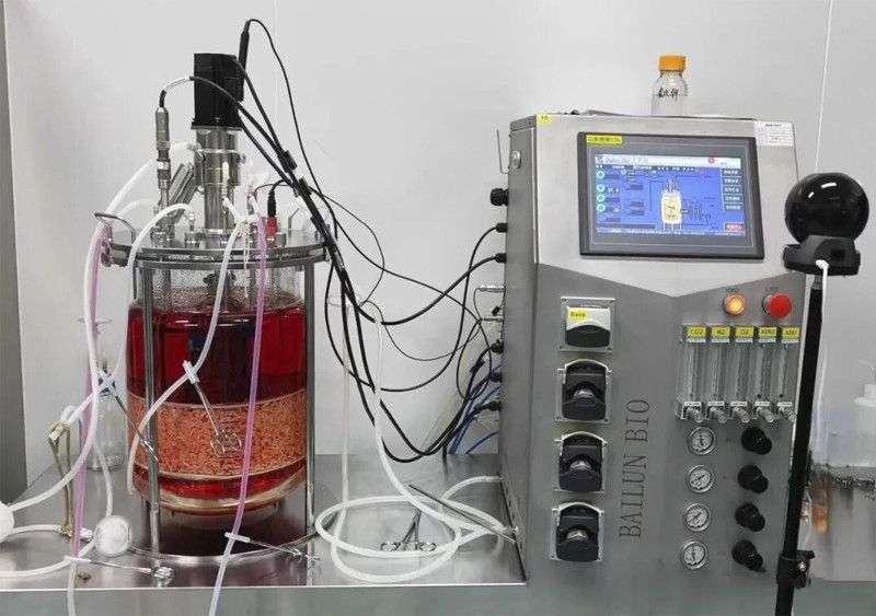 stirred tank bioreactor