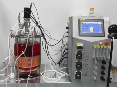 4 indicators to achieve fermentation accuracy! Testing bacterial cells, controlling dissolved oxygen, determining endpoint... all the dry goods are here