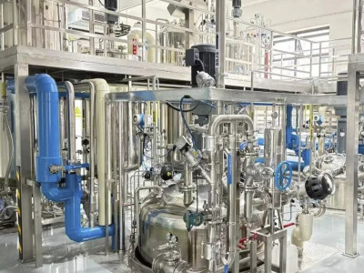The quality of biological products relies heavily on the precise implementation of downstream purification processes