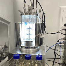 How important is high-performance bacterial strains? Whether it can make money, whether the product is stable or not, and whether it can expand its scale, mostly depends on its 