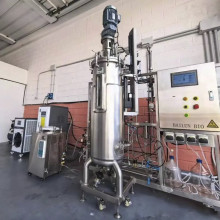 Flexible biomanufacturing platform: not just a 