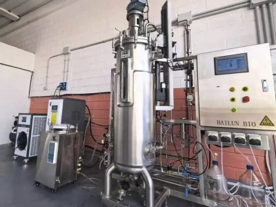 Flexible biomanufacturing platform: not just a "beautiful sounding" technological vase