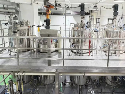 By 2027, we aim to cultivate more than 20 pilot capacity building platforms, serve over 200 enterprises, and incubate over 400 products ...