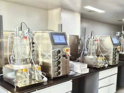 "40% of the fermentation broth was spilled" when the tank was being placed? Don't laugh, this can really happen