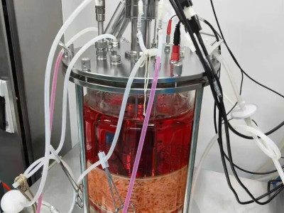 Abnormal color of fermentation broth is not scary, but it is afraid of empirical one size fits all approach or being led by the "probability judgment" given by AI models
