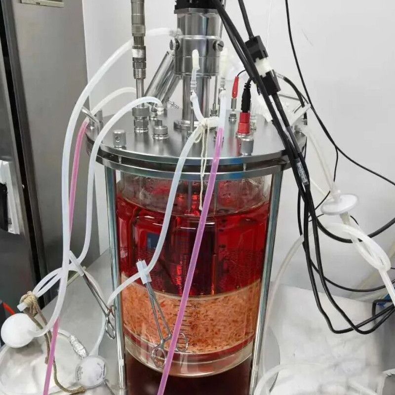 conical fermenter stainless