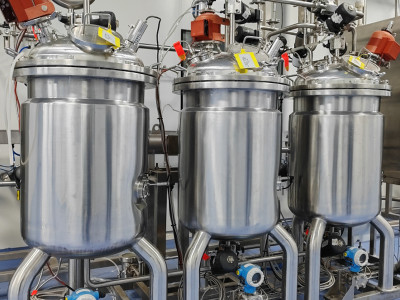 Why build a large-scale biological reaction model?