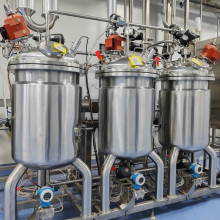 Why build a large-scale biological reaction model?