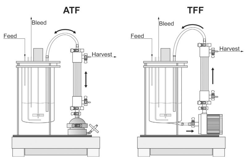 stainless steel 304 conical fermentor