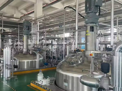 Stainless Steel Vaccine Fermenter with GMP Compliance