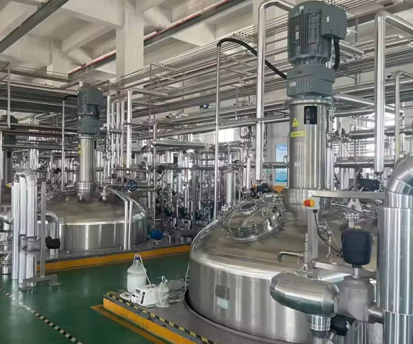 Stainless Steel Vaccine Fermenter with GMP Compliance