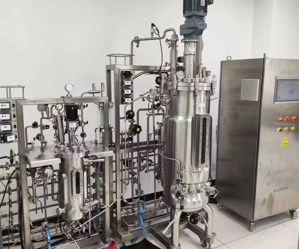 Digital Control Lab Fermenter Bioreactor for R&D Centers