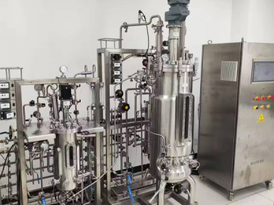 Digital Control Lab Fermenter Bioreactor for R&D Centers