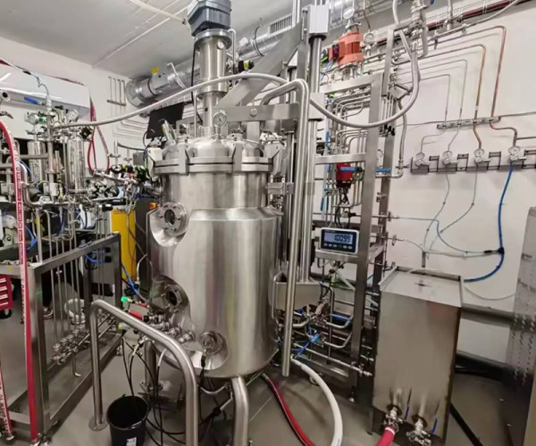 What Sectors Use Mammalian Cell Culture Bioreactor research pharma biotech