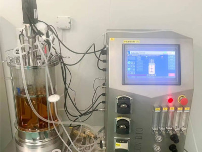 What Makes a Stainless Steel Solid Fermentor Smart? automation, CIP and data