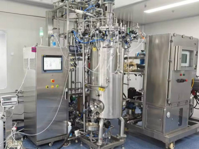 How Vaccine Fermenters Improve Batch Safety? sterile design, validation, compliance