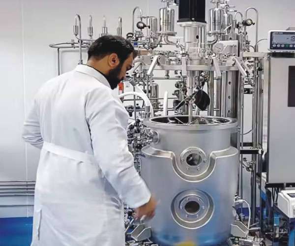 Which Mammalian Cell Bioreactor Works Best For Cell Line? CHO Cells, HEK293, Vero Cells