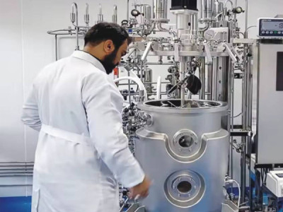 Which Mammalian Cell Bioreactor Works Best For Cell Line? CHO Cells, HEK293, Vero Cells
