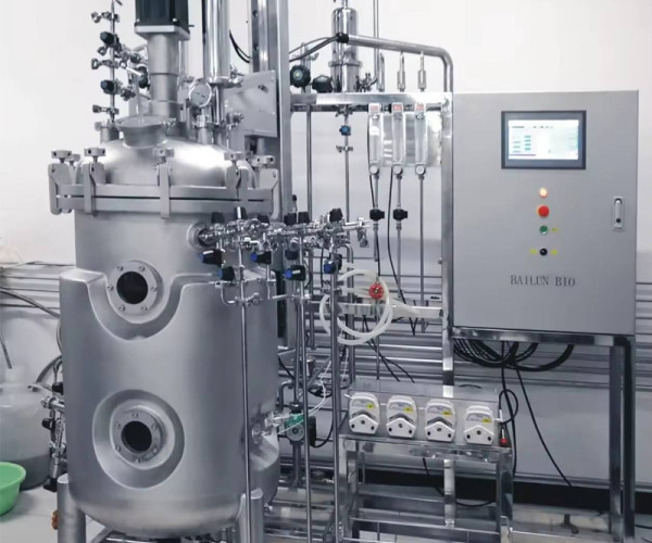 How Do You Size A Fermentation Tank Correctly? Working Volume, H/D Ratio, Fill