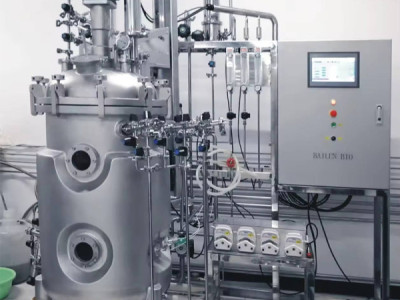 How Do You Size A Fermentation Tank Correctly? Working Volume, H/D Ratio, Fill