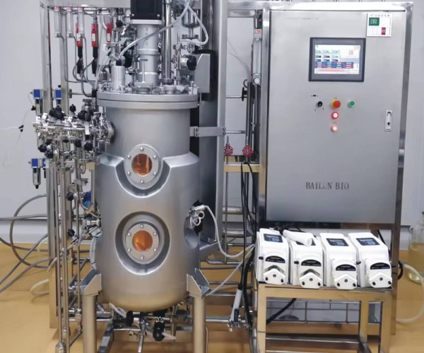 Why Stainless Steel Fermenters Lose Oxygen? kLa Value, Sparger, Impeller Type