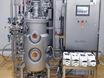 Why Stainless Steel Fermenters Lose Oxygen? kLa Value, Sparger, Impeller Type