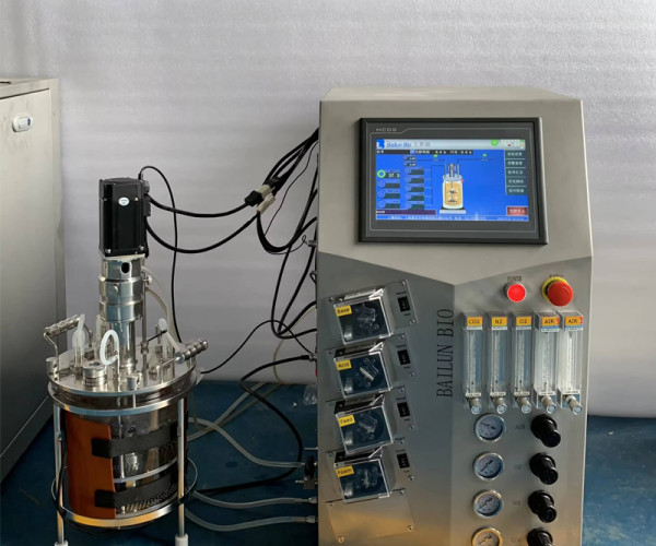 Which Stirred Tank Bioreactors Maintain Sterile Processing? Seal, Gasket, Validation