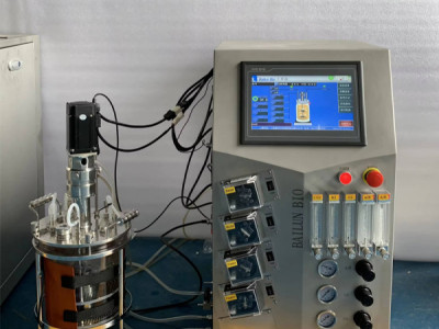 Which Stirred Tank Bioreactors Suit Insect Cell Culture? Shear, Speed, Sensitivity