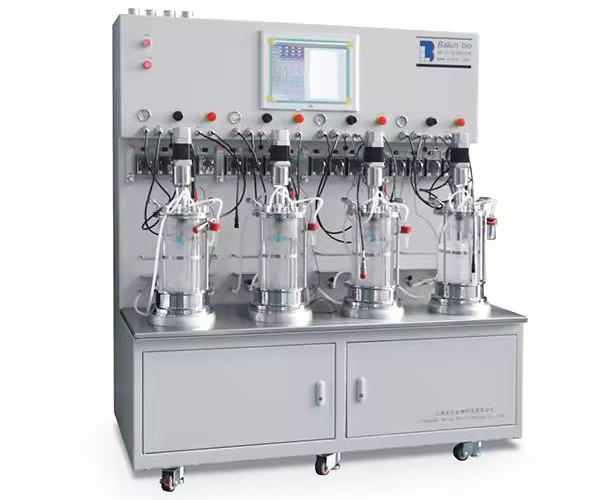 What Makes Fermentation Equipment Easy To Sanitize? Surface, Port, Drainage
