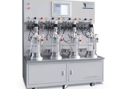What Makes Fermentation Equipment Easy To Sanitize? Surface, Port, Drainage