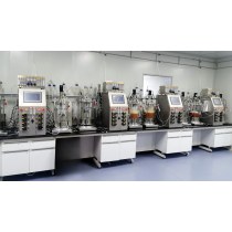 BAILUN Benchtop Dual-Tank Bioreactor System for Parallel Cell Culture Fermentation 0.25L-10L