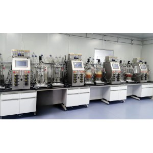 BAILUN Benchtop Dual-Tank Bioreactor System for Parallel Cell Culture Fermentation 0.25L-10L