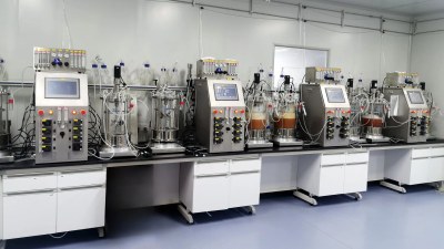 BAILUN Benchtop Dual-Tank Bioreactor System for Parallel Cell Culture Fermentation 0.25L-10L